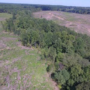 Photo of UNDER CONTRACT!  109 Acres of Recreational Hunting Land For Sale in Brunswick County VA!