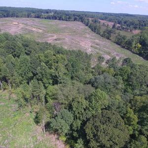 Photo of UNDER CONTRACT!  109 Acres of Recreational Hunting Land For Sale in Brunswick County VA!