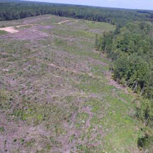 Photo of UNDER CONTRACT!  109 Acres of Recreational Hunting Land For Sale in Brunswick County VA!