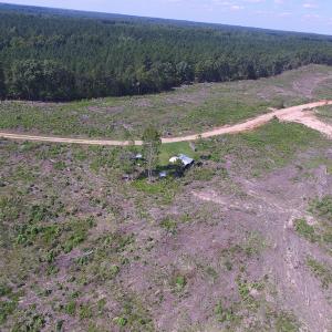 Photo of UNDER CONTRACT!  109 Acres of Recreational Hunting Land For Sale in Brunswick County VA!