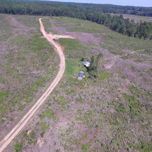 Photo of UNDER CONTRACT!  109 Acres of Recreational Hunting Land For Sale in Brunswick County VA!