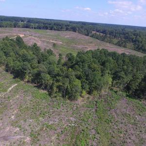 Photo of UNDER CONTRACT!  109 Acres of Recreational Hunting Land For Sale in Brunswick County VA!