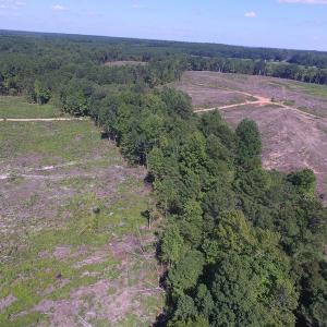 Photo of UNDER CONTRACT!  109 Acres of Recreational Hunting Land For Sale in Brunswick County VA!