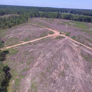 Photo of UNDER CONTRACT!  109 Acres of Recreational Hunting Land For Sale in Brunswick County VA!
