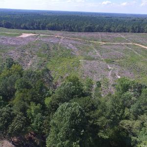 Photo of UNDER CONTRACT!  109 Acres of Recreational Hunting Land For Sale in Brunswick County VA!