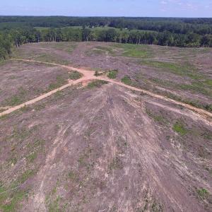 Photo of UNDER CONTRACT!  109 Acres of Recreational Hunting Land For Sale in Brunswick County VA!