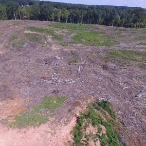 Photo of UNDER CONTRACT!  109 Acres of Recreational Hunting Land For Sale in Brunswick County VA!