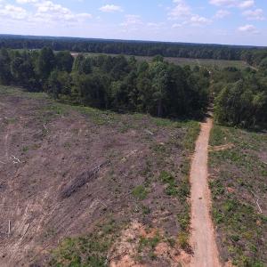Photo of UNDER CONTRACT!  109 Acres of Recreational Hunting Land For Sale in Brunswick County VA!
