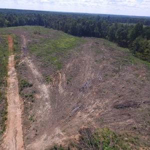 Photo of UNDER CONTRACT!  109 Acres of Recreational Hunting Land For Sale in Brunswick County VA!