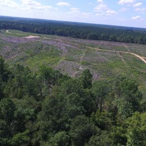 Photo of UNDER CONTRACT!  109 Acres of Recreational Hunting Land For Sale in Brunswick County VA!