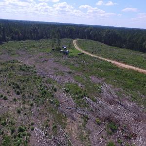 Photo of UNDER CONTRACT!  109 Acres of Recreational Hunting Land For Sale in Brunswick County VA!