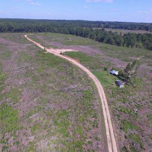 Photo of UNDER CONTRACT!  109 Acres of Recreational Hunting Land For Sale in Brunswick County VA!