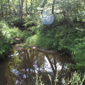 Photo of UNDER CONTRACT!  109 Acres of Recreational Hunting Land For Sale in Brunswick County VA!