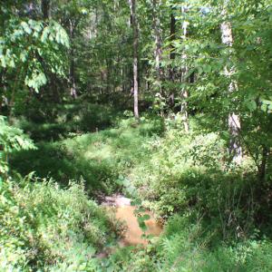 Photo of UNDER CONTRACT!  109 Acres of Recreational Hunting Land For Sale in Brunswick County VA!