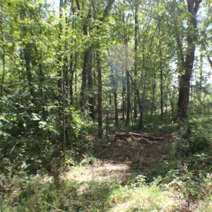 Photo of UNDER CONTRACT!  109 Acres of Recreational Hunting Land For Sale in Brunswick County VA!