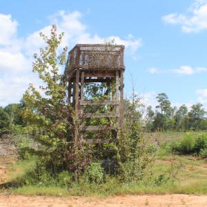 Photo of UNDER CONTRACT!  109 Acres of Recreational Hunting Land For Sale in Brunswick County VA!