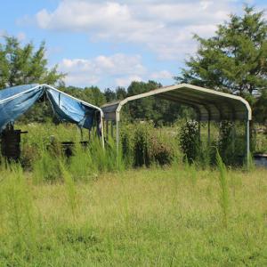 Photo of UNDER CONTRACT!  109 Acres of Recreational Hunting Land For Sale in Brunswick County VA!