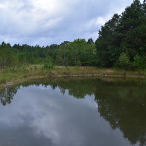 Photo of UNDER CONTRACT!  16 Acres of Hunting Land For Sale in Accomack County VA!