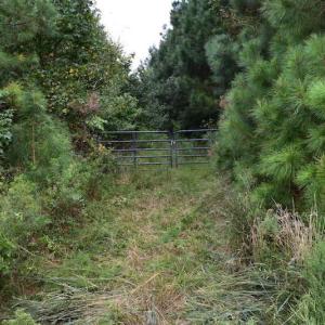 Photo of UNDER CONTRACT!  16 Acres of Hunting Land For Sale in Accomack County VA!