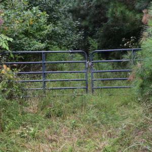 Photo of UNDER CONTRACT!  16 Acres of Hunting Land For Sale in Accomack County VA!