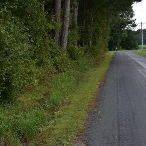 Photo of UNDER CONTRACT!  16 Acres of Hunting Land For Sale in Accomack County VA!