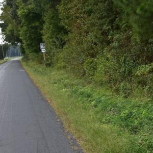 Photo of UNDER CONTRACT!  16 Acres of Hunting Land For Sale in Accomack County VA!