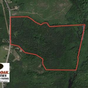 Photo of UNDER CONTRACT!  104 Acres of Timber Land For Sale in Franklin County NC!