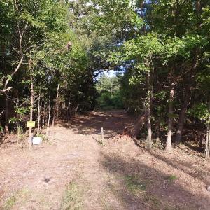 Photo of UNDER CONTRACT!  104 Acres of Timber Land For Sale in Franklin County NC!