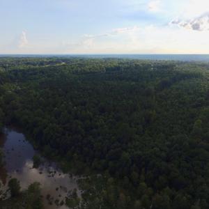 Photo of UNDER CONTRACT!  104 Acres of Timber Land For Sale in Franklin County NC!