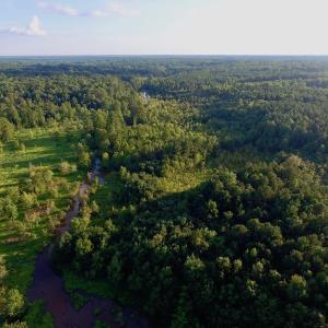 Photo of UNDER CONTRACT!  104 Acres of Timber Land For Sale in Franklin County NC!