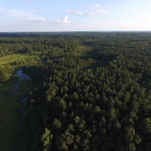 Photo of UNDER CONTRACT!  104 Acres of Timber Land For Sale in Franklin County NC!