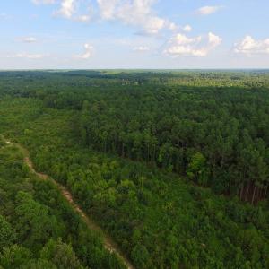 Photo of UNDER CONTRACT!  104 Acres of Timber Land For Sale in Franklin County NC!