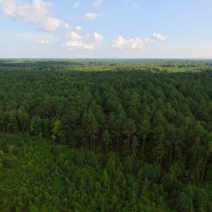 Photo of UNDER CONTRACT!  104 Acres of Timber Land For Sale in Franklin County NC!