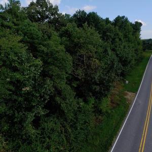 Photo of UNDER CONTRACT!  104 Acres of Timber Land For Sale in Franklin County NC!