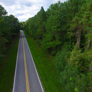 Photo of UNDER CONTRACT!  104 Acres of Timber Land For Sale in Franklin County NC!