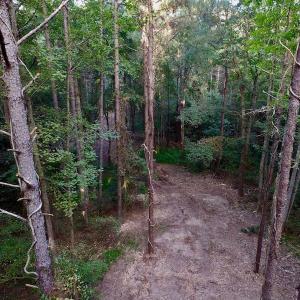 Photo of UNDER CONTRACT!  104 Acres of Timber Land For Sale in Franklin County NC!