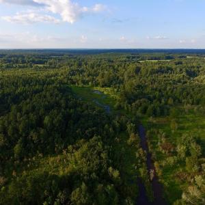 Photo of UNDER CONTRACT!  104 Acres of Timber Land For Sale in Franklin County NC!