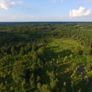 Photo of UNDER CONTRACT!  104 Acres of Timber Land For Sale in Franklin County NC!