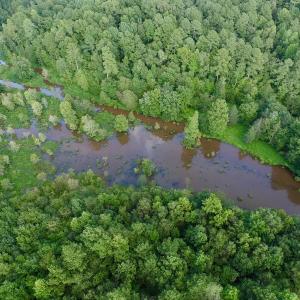Photo of UNDER CONTRACT!  104 Acres of Timber Land For Sale in Franklin County NC!