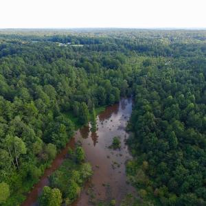 Photo of UNDER CONTRACT!  104 Acres of Timber Land For Sale in Franklin County NC!