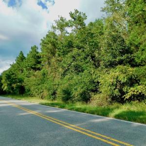 Photo of UNDER CONTRACT!  104 Acres of Timber Land For Sale in Franklin County NC!