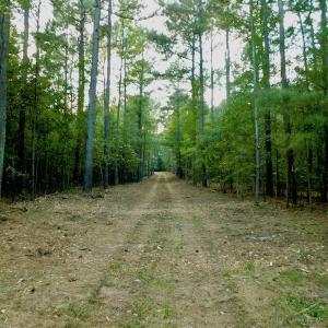 Photo of UNDER CONTRACT!  104 Acres of Timber Land For Sale in Franklin County NC!