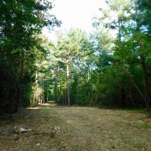 Photo of UNDER CONTRACT!  104 Acres of Timber Land For Sale in Franklin County NC!