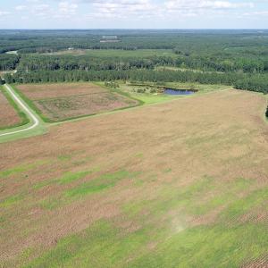 Photo of UNDER CONTRACT!  650 Acres of Farm and Timber Land For Sale in Halifax County NC!