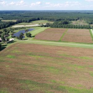 Photo of UNDER CONTRACT!  650 Acres of Farm and Timber Land For Sale in Halifax County NC!