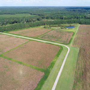 Photo of UNDER CONTRACT!  650 Acres of Farm and Timber Land For Sale in Halifax County NC!