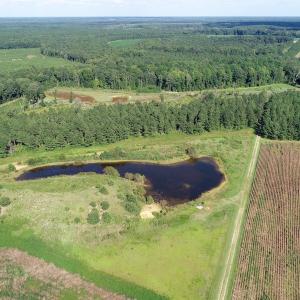Photo of UNDER CONTRACT!  650 Acres of Farm and Timber Land For Sale in Halifax County NC!