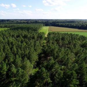 Photo of UNDER CONTRACT!  650 Acres of Farm and Timber Land For Sale in Halifax County NC!