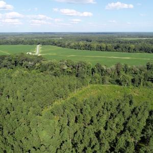 Photo of UNDER CONTRACT!  650 Acres of Farm and Timber Land For Sale in Halifax County NC!