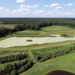 Photo of UNDER CONTRACT!  650 Acres of Farm and Timber Land For Sale in Halifax County NC!